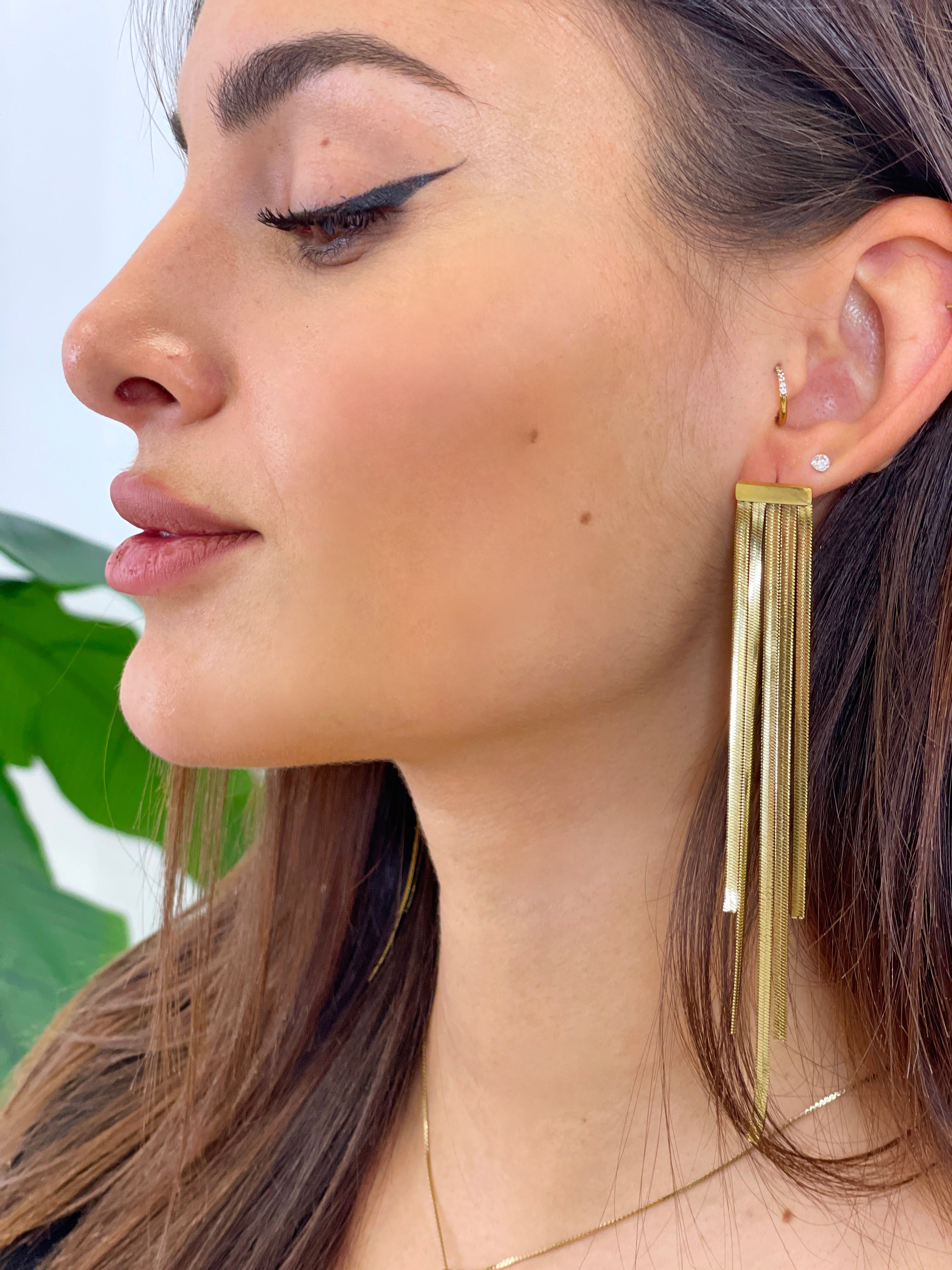 Luxury Earrings